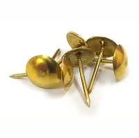 Гвозди обивочные декоративные 100шт.