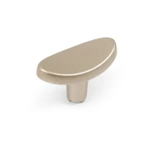 Мебельная ручка FRANCHESKA RC501RCHMP.1