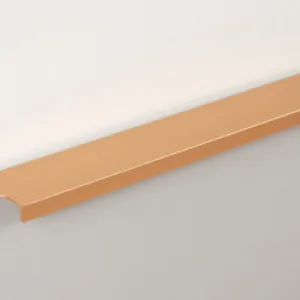 Мебельная ручка RAY RT109SG.1/224/300