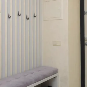 Мебельный крючок NILL K103MDN.9