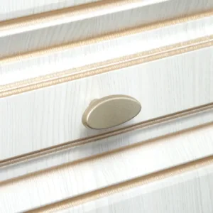 Мебельная ручка FRANCHESKA RC501RCHMP.1