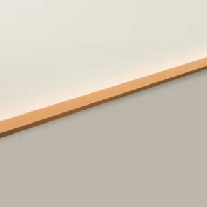 Мебельная ручка RAY RT109SG.1/000/900