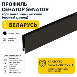 Профиль СЕНАТОР SENATOR горизонтальный нижний (черный глянец)
