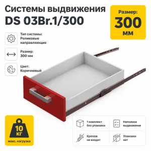 Системы выдвижения DS 03Br.1/300