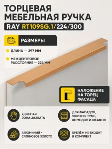Мебельная ручка RAY RT109SG.1/224/300