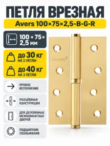 Петля врезная Avers 100*75*2 5-B-G-R