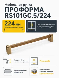Мебельная ручка ПРОФОРМА RS101GC.5/224
